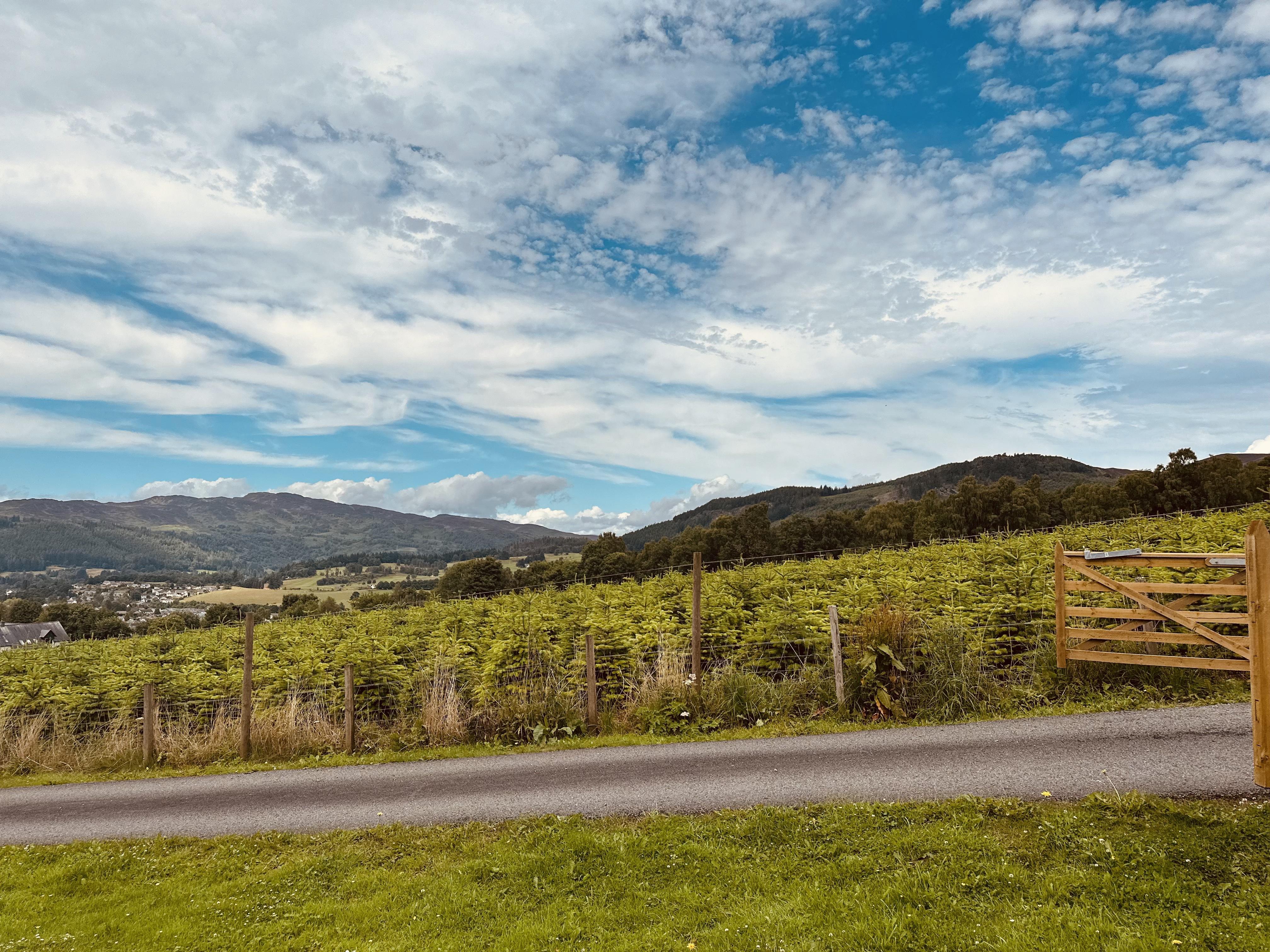 Kinnaird Woodland Lodges Pitlochry Exterior foto
